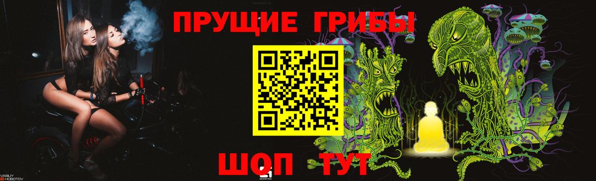 Лесной  Галлюциногенные грибы мицелий  Псилоцибиновые грибы Psilocybine cubensis  Вход с VPN 